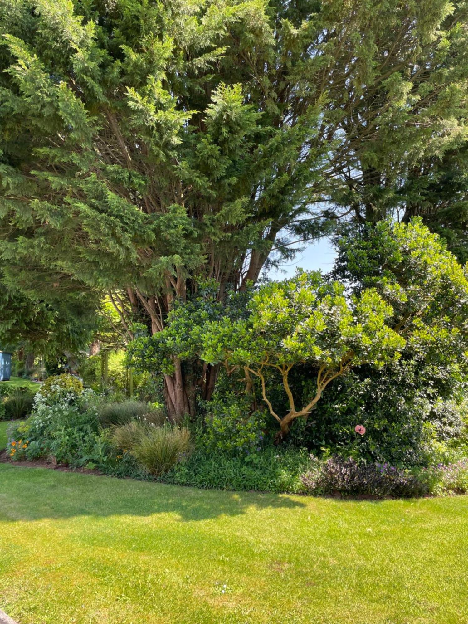 Leylands Annexe Villa East Harptree Exterior foto